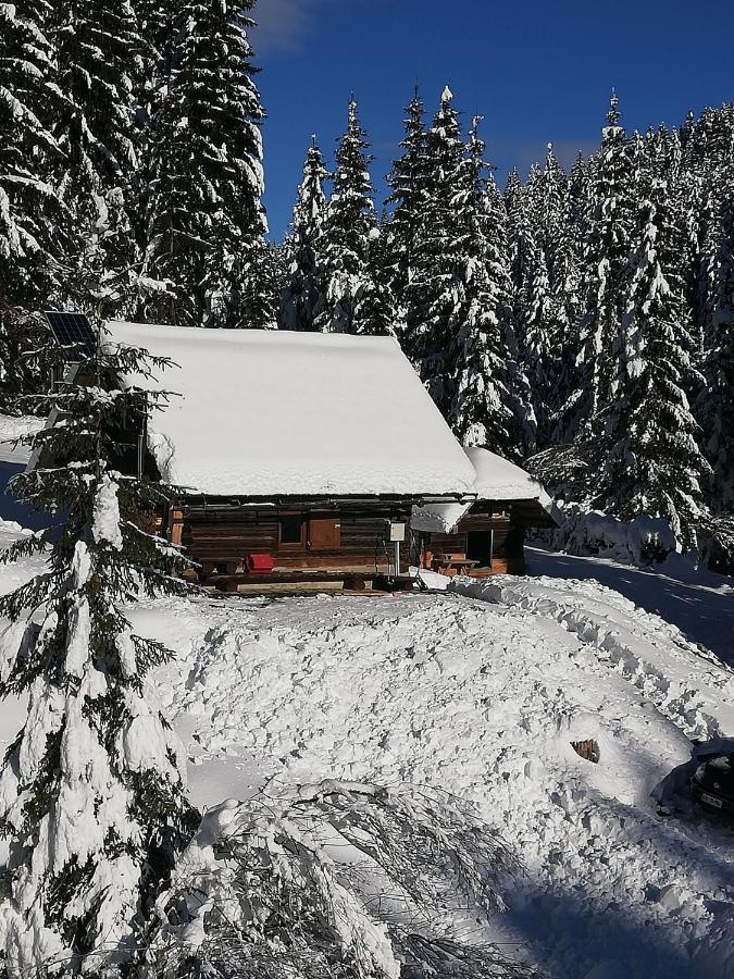 Brunarica Na Goreljeku Бохинь Экстерьер фото
