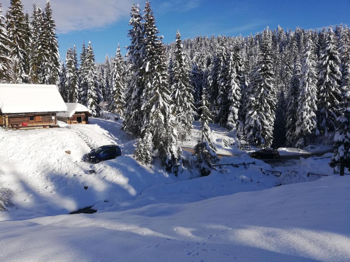 Brunarica Na Goreljeku Бохинь Экстерьер фото