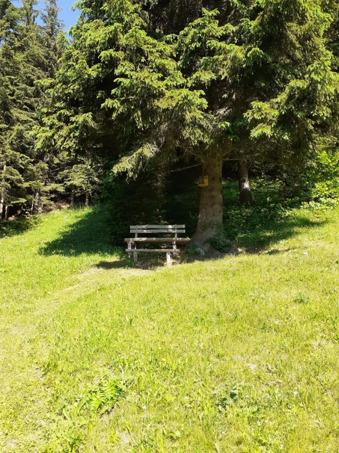 Brunarica Na Goreljeku Бохинь Экстерьер фото