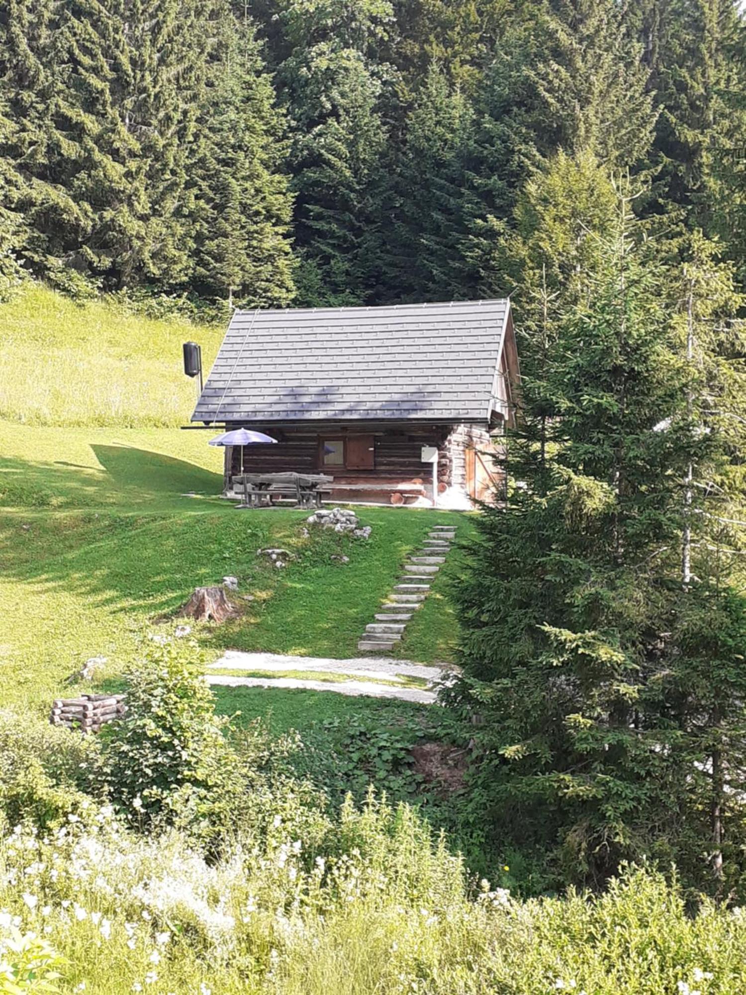 Brunarica Na Goreljeku Бохинь Экстерьер фото